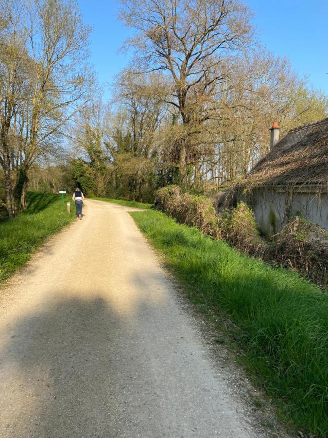 Studio Indre Climatise, La Halte De Cuze, Aux Abords De La Loire A Velo Huismes Exterior foto